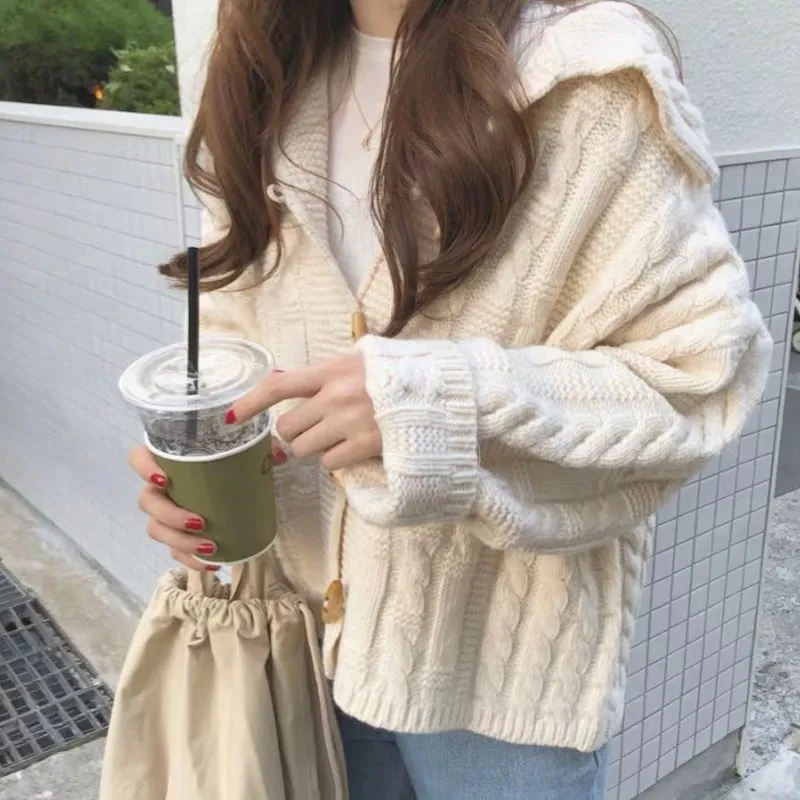 Kawaii Horn Button Cable Knitted Cardigan