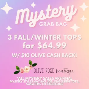 MYSTERY GRAB BAG 3 Tops/Sweaters   $10 Olive Cash Back (FINAL SALE)
