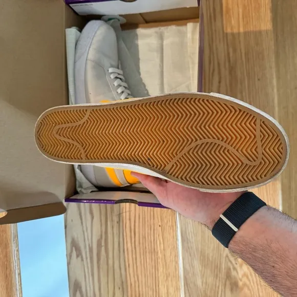 Nike blazer sb